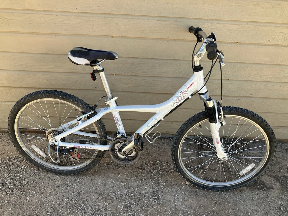 Giant Bicycle - Image 2 of 4