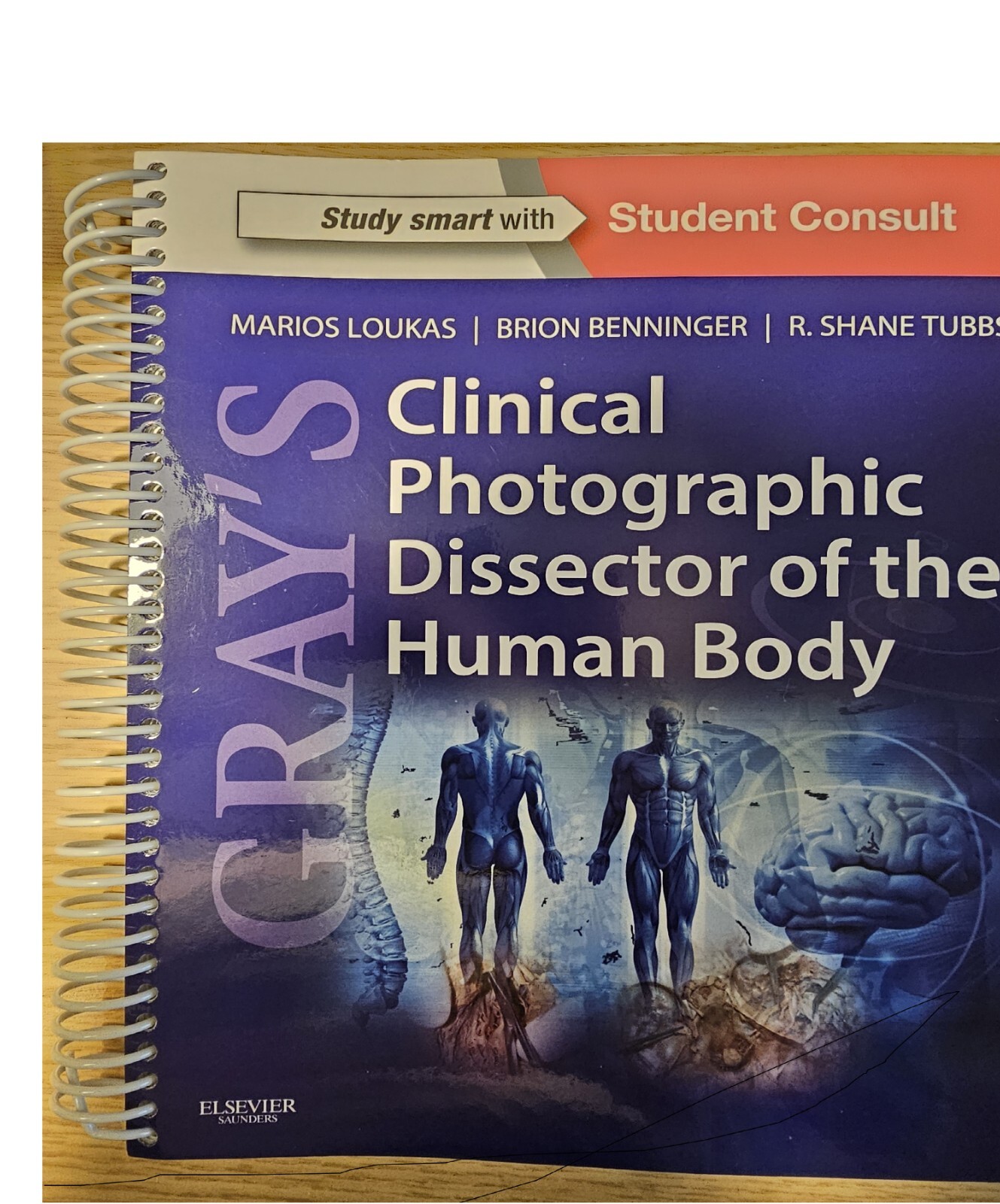 GRAYS CLINICAL PHOTOGRAPHIC DISSECTOR OF THE HUMAN BODY - STUDENT CONSULT TEXTBK