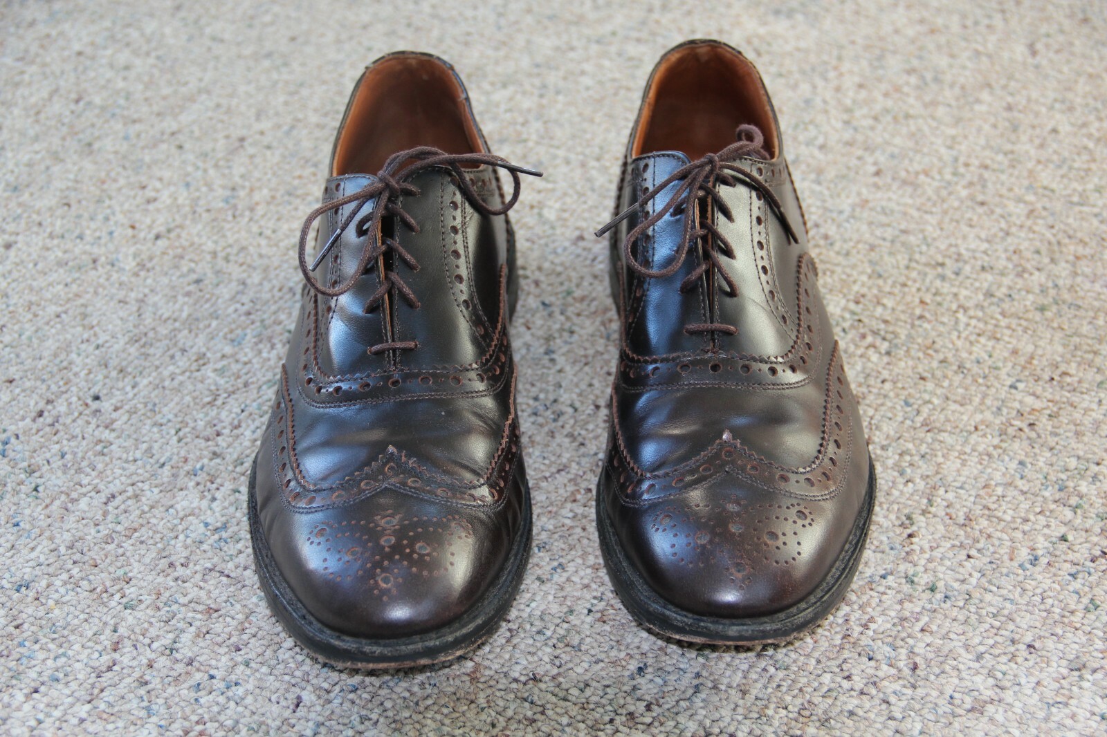Allen Edmonds WHITNEY Wingtip Oxfords 