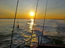 2025 HUGO BOSS Boss Bottled BOLD CITRUS EDP :)TRAVEL size + FAST SHIPPING