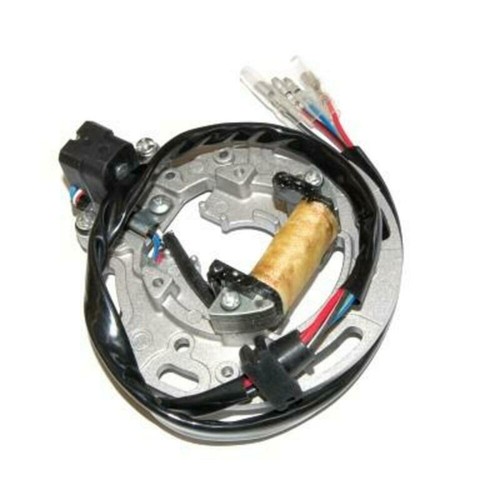 Stator Electrosport-Kawasaki pour Moto Pièces de Rechange Raccords