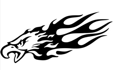 2 pcs , eagle flame , aigle  , stickers vinyl decal autocollant