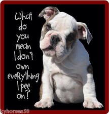 Funny French Bulldog I Don't Own Everything Refrigerator Magnet