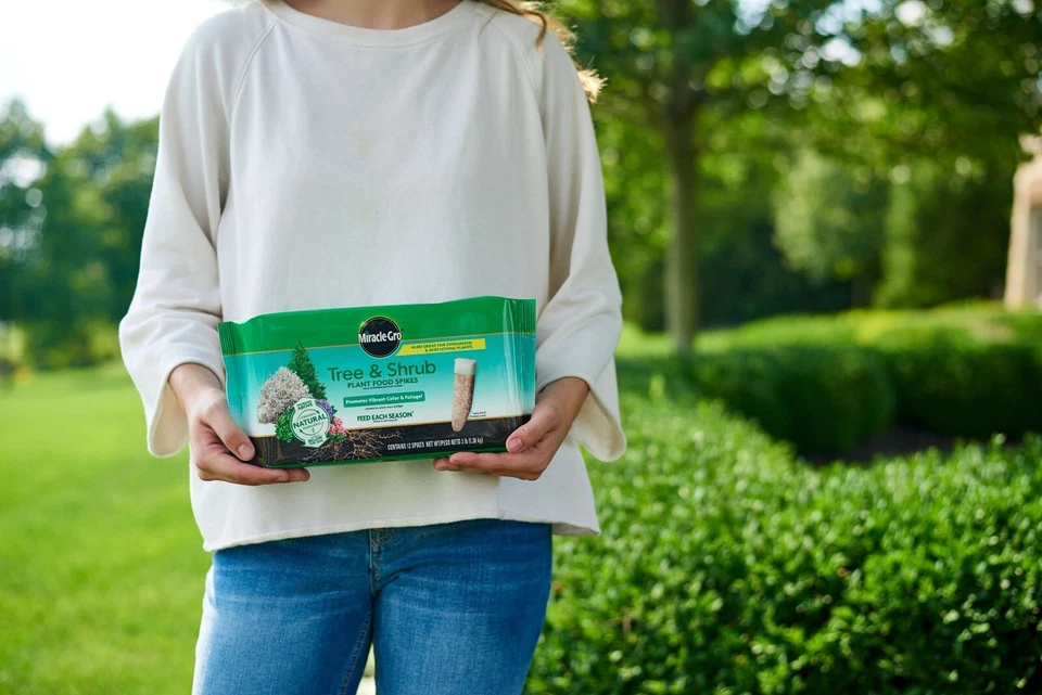 Miracle-Gro Árbol y Arbusto Planta Alimentos Picos, 12 Picos (Paquete de 2) Foto 2 de 4