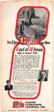 1951 Pfister Hybrids Corn Farm Field 50's Vintage Print Ad