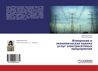 Izmerenie I äKonomicheskaq Ocenka Uslug äLektrosetewyh Predpriqtij Taschenbuch