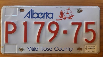 orig. Nummernschild Kanada Kfz Kennzeichen Alberta Wild Rose Country P179