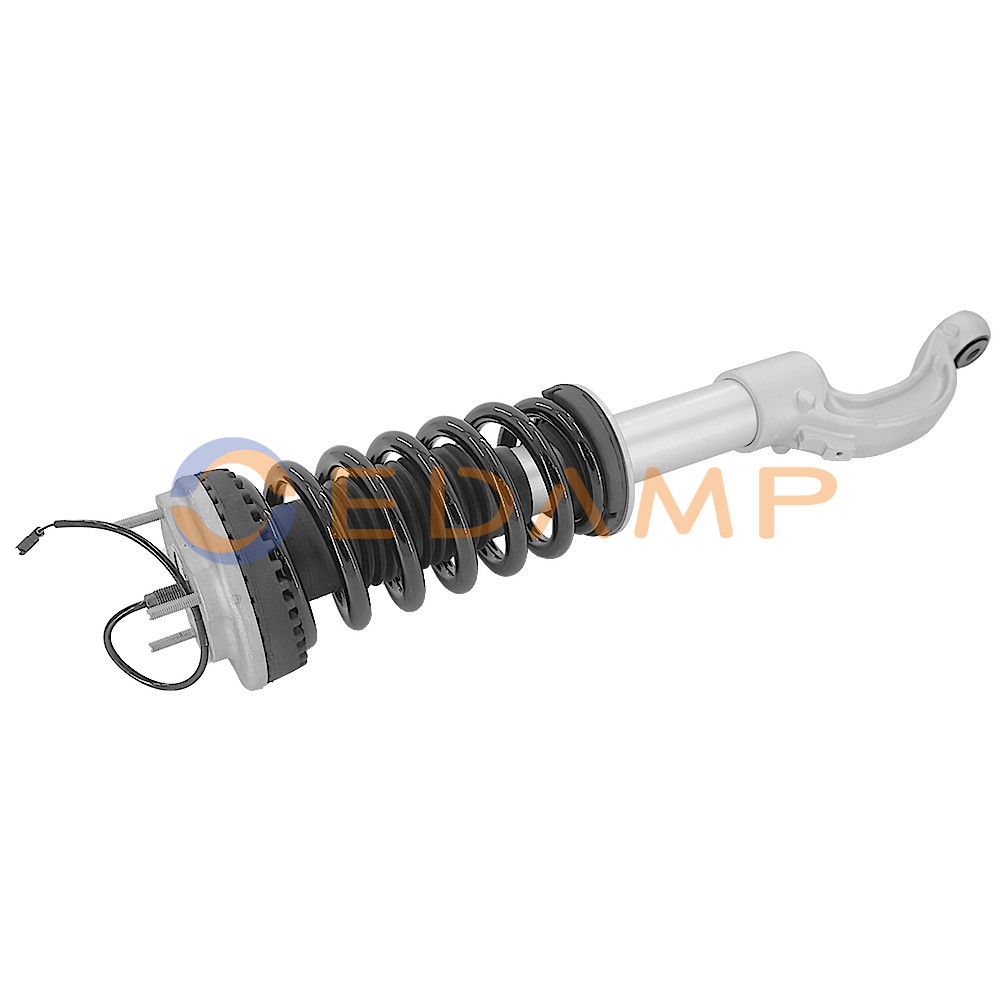 Maserati Quattroporte 2014-2020 FRONT+RIGHT Shock absorber