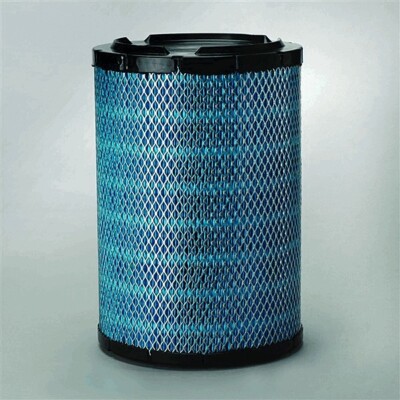Donaldson DBA5231 De Air