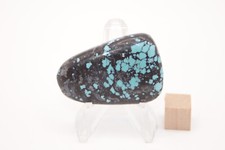 Arizona Turquoise Cab.- 14.1 grams. Nice size for bolo or belt buckle.