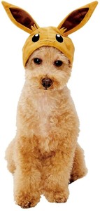 dog eevee costume
