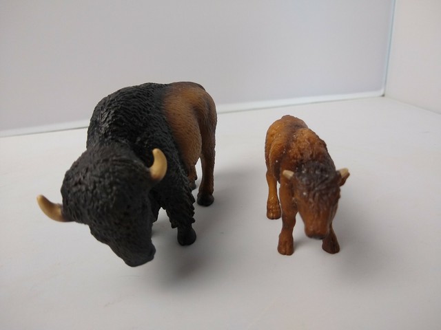 schleich buffalo