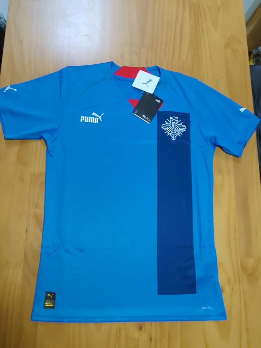 Iceland jersey top