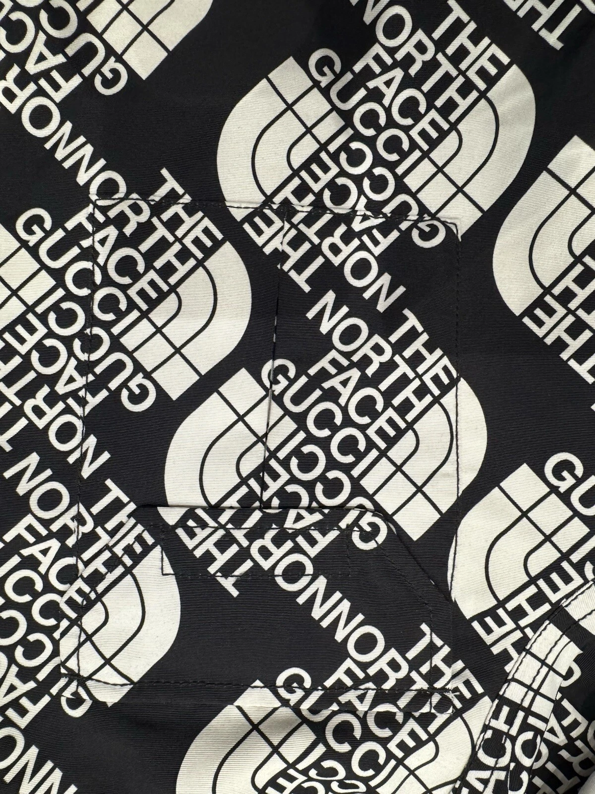 giacca gucci x north face