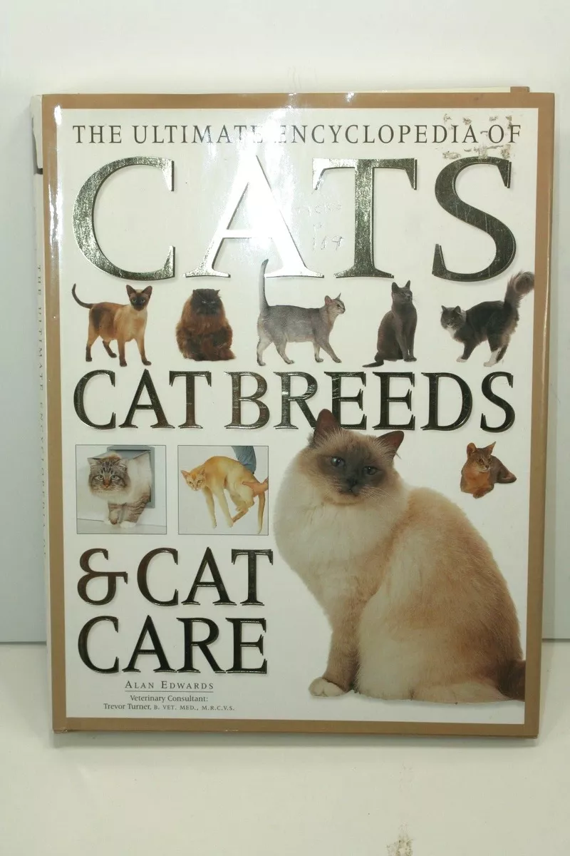 How To Care For Every Cat Breed