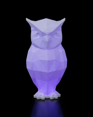 Table lamp (owl) remote control upgrade