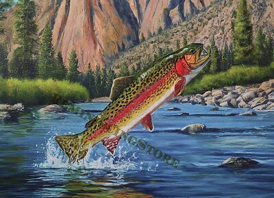 Kern River trout (Salmo irideus gilberti Jordan) Vintage picture art #9 Reprint