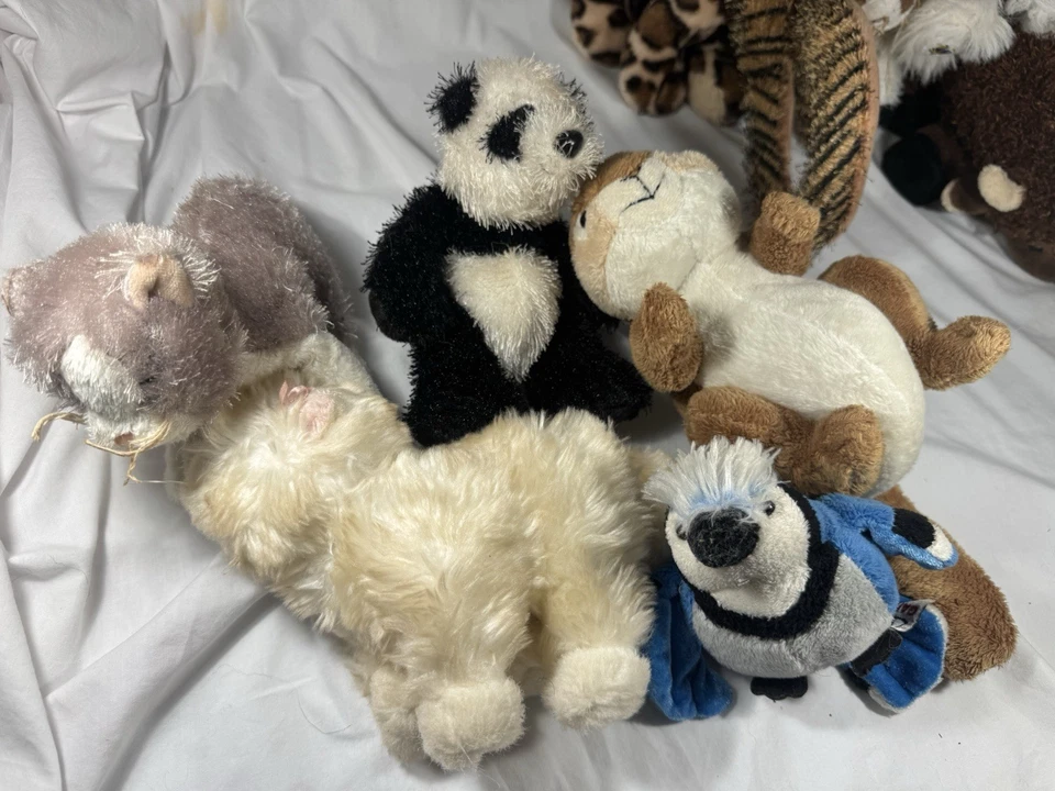 Webkinz Plush Lot of 35 + 1 Jacket No Codes Dogs Cats Frog Lion Seal Parrot More - Image 4 of 4