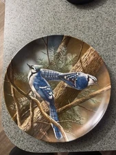 New Edwin M. Knowles “The Blue Jay" By Kevin Daniel Porcelain Plate COA & Box