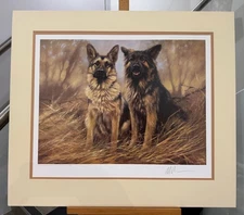 Mick Cawston - Long Haired German Shepherd - Mounted (In Stock)