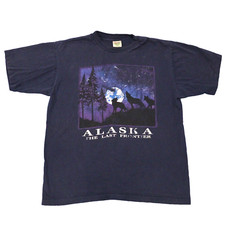 Vintage Prairie Mountain Alaska The Last Frontier T-Shirt XL USA Made Gray