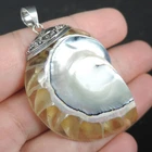Large Clear Natural Nautilus Shell Pendant 925 Sterling Silver Jewelry, CNP-16