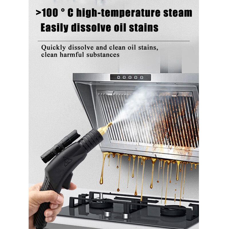 220V 3KW Home Kitchen Car Upholstery Cleaning Machine Commercial Steam