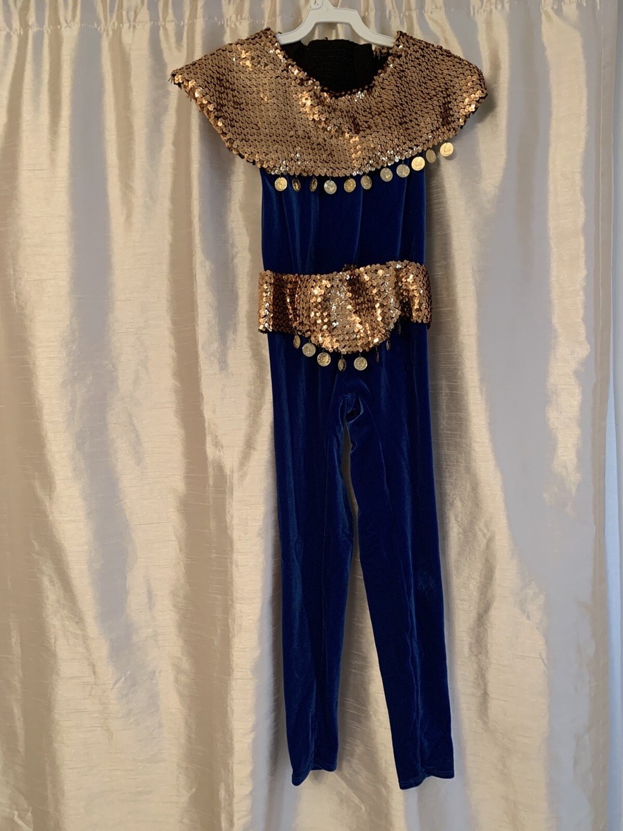 blue egyptian dress 36 Royal Blue Pinstripe Blazer With White Pants - Suit Party Blazer main image 1