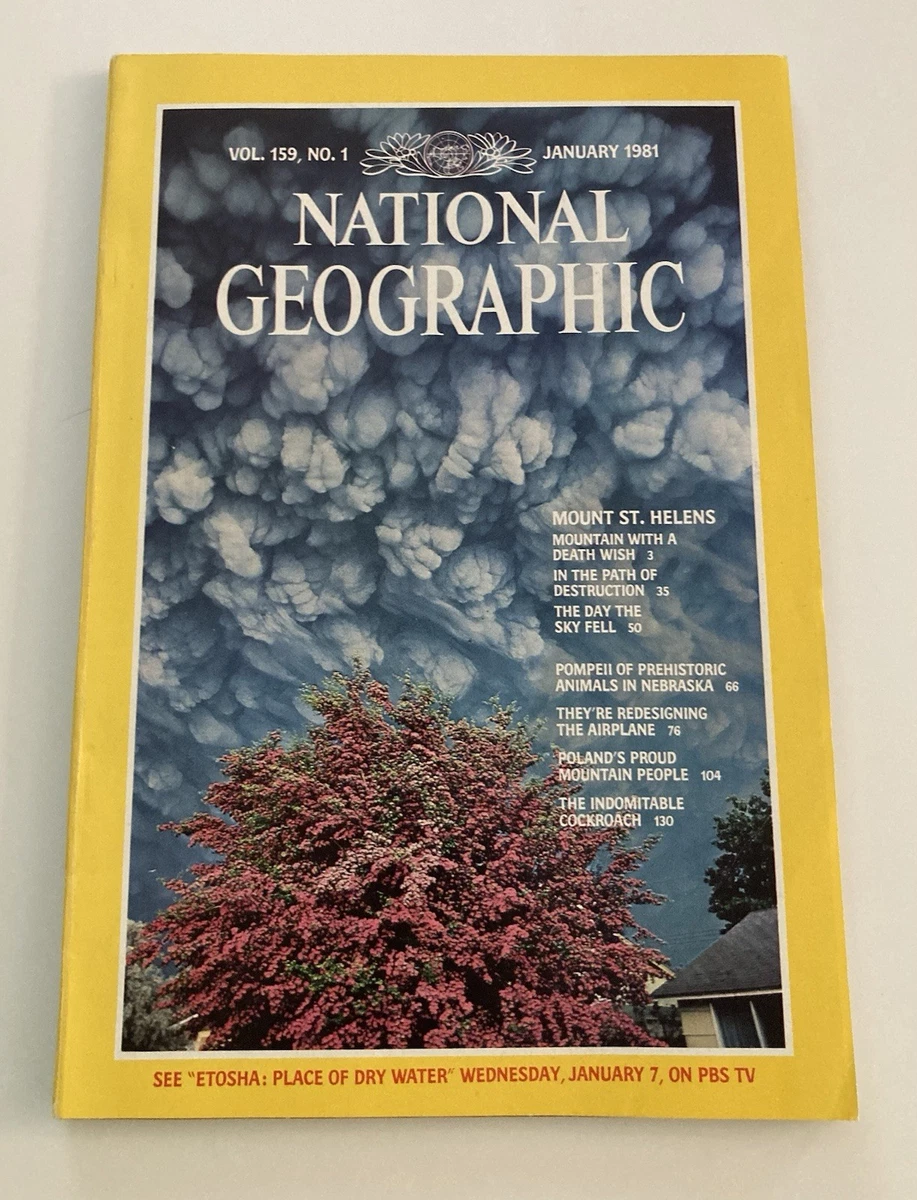 National Geographic Magazines 1980-1999 for sale | eBay
