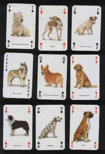 Dogs of The World set of 52 playing cards + jokers - Picture 2 of 2