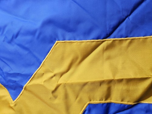 Truppe 151 West Virginia Pfadfinder Flagge BSA 31 x 46 cm  - Bild 7 von 9