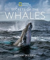 Secrets Of The Whales | Brian Skerry | Englisch | Buch | Gebunden | 2021