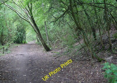 Foto 12x8 Didcot, Newbury & Southampton Eisenbahn South Wonston Richtung W c2014