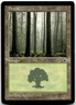MTG Forest (Ferns on Ground) L Portal HP