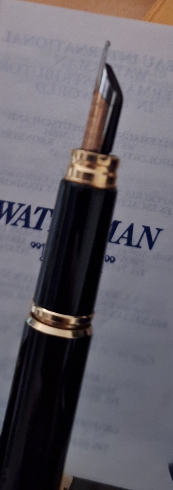 Waterman Man100 18k F Fountain Pen