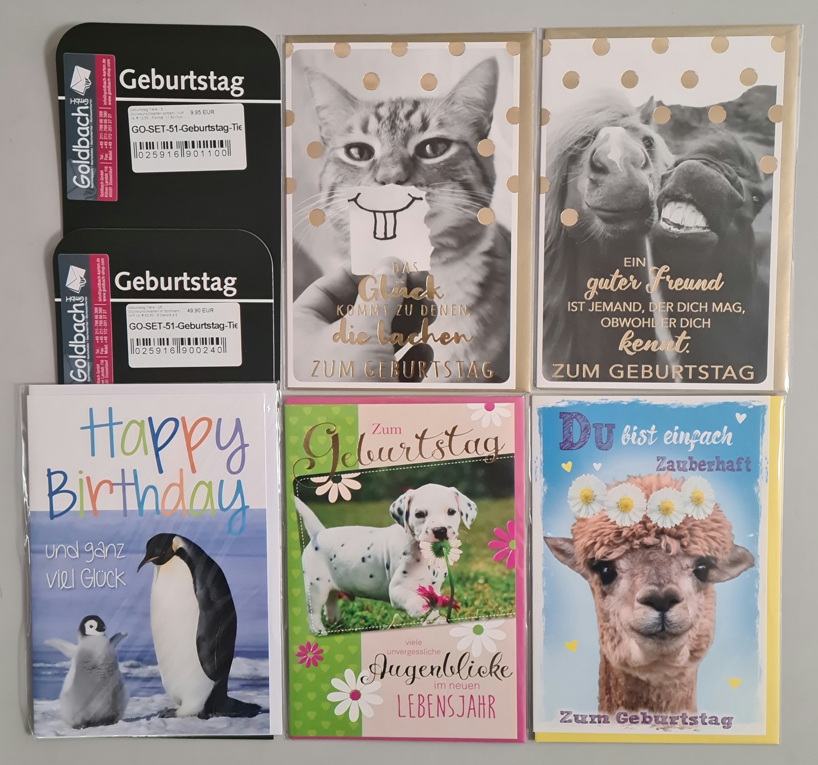 Geburtstag Tiere - 5 Glückwunschkarten sortiert - UVP ca. € 12,50 - Format: 11,5