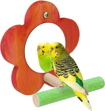 Hypeety Bird Mirror Toy with Perch Cage Standing Accessories Parrot Parakeet