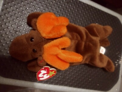 TY Beanie Baby Chocolate the Moose