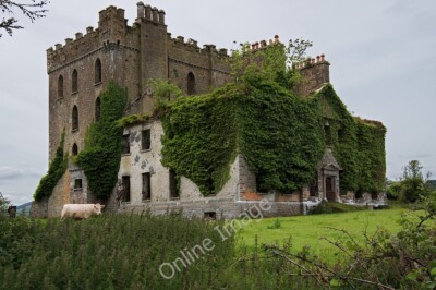 Photo 12x8 Castles of Munster: Castle Otway or Cloghonan, Tipperary (4) Te c2011