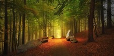 Landscape forest path fall leaves hills trees germany Custom Gaming Mat Desk