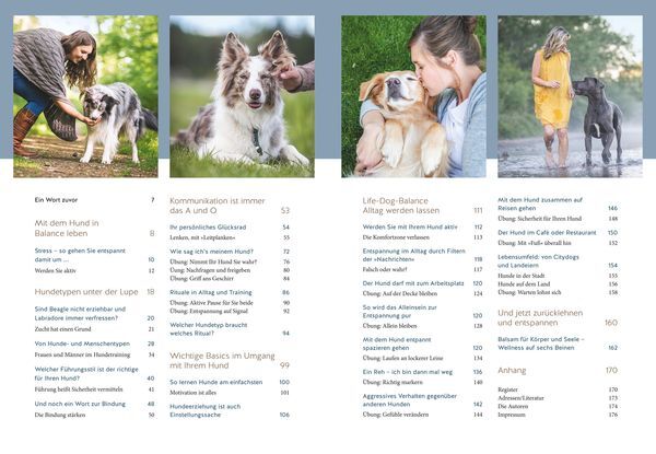 Thumbnail - Life-dog-balance