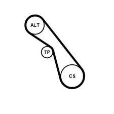 CONTINENTAL CTAM KEILRIPPENRIEMEN-SATZ passend für FIAT STILO OPEL ASTRA CORSA