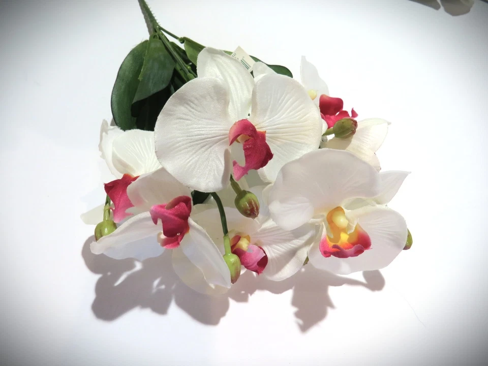 Lote de 5 nuevas orquídeas blancas de imitación artificial con labios magenta 14" arbustos Beautysilk Foto 4 de 4