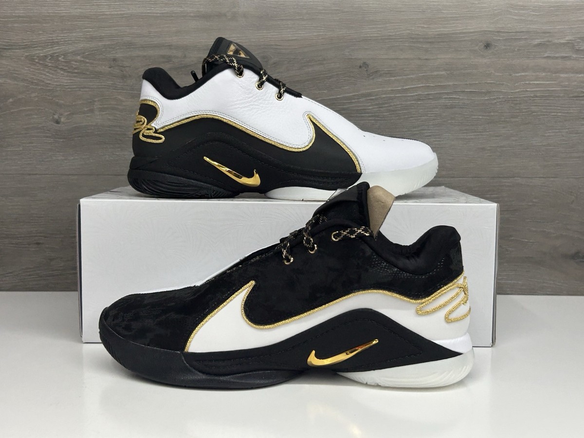 【2回のみ使用】LEBRON22 29cm 2回のみ使用】LEBRON22 29cm