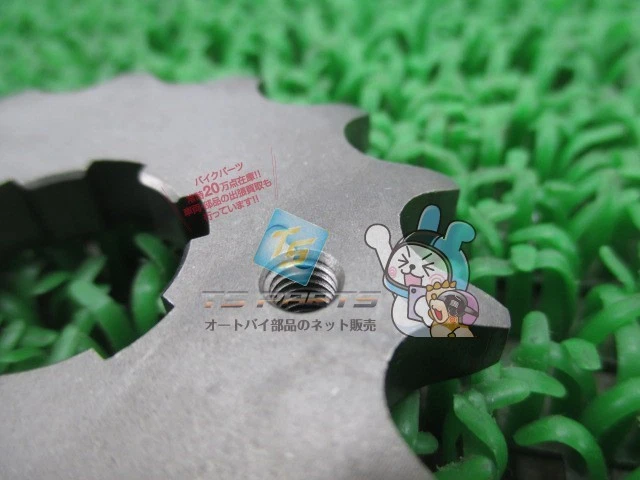 TW200E Front Sprocket - In Stock, Ready to Ship - Genuine New Yamaha Motorcy... - Image 2 of 4