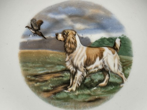Antique Regency English Springer Spaniel Bone China Teacup & Saucer Rare Set - Picture 11 of 19