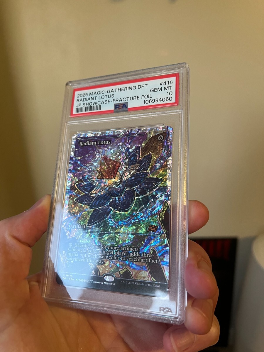 291 MTG 光の英雄 / FOIL　コレブ産 291 MTG 光の英雄 / FOIL コレブ産 291 MTG 光の英雄 / FOIL