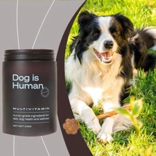 Daily Multivitamin Dog Health & Wellness BEEF FLAVOR 60-COUNT Dog Is Human 