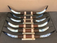 MOUNTED STEER HORNS  6 feet  to 6 feet 4" LONGHORN POLISHED MOUNT BULL COW