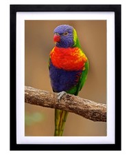 14x18 Diamond Painting Frames Wood,Display Pictures 12x16 Inch/30X40 cm with ...